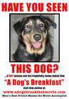狗的早餐A Dog's Breakfast 电影封面