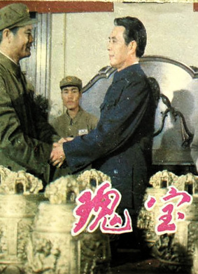 瑰宝 电影封面