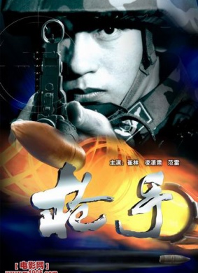 枪手 电影封面