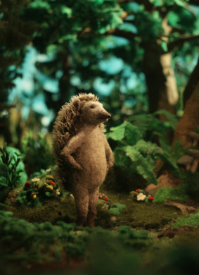 刺猬先生的小屋Hedgehog's Home