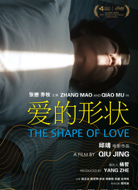 爱的形状The shape of love 电影封面