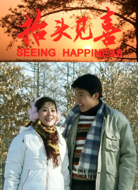 誓不罢休Shi bu ba xiu 电影封面
