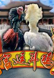 宫廷斗鸡Rooster-Fighting in the Royal Court