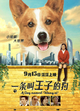 一条叫王子的狗Prince 电影封面