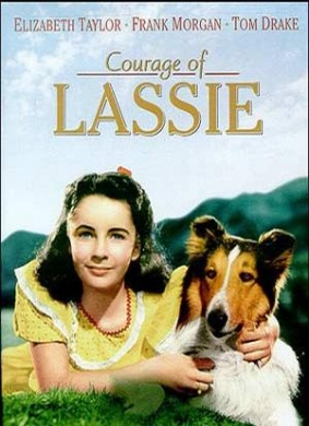 战火历险记Courage of Lassie 电影封面